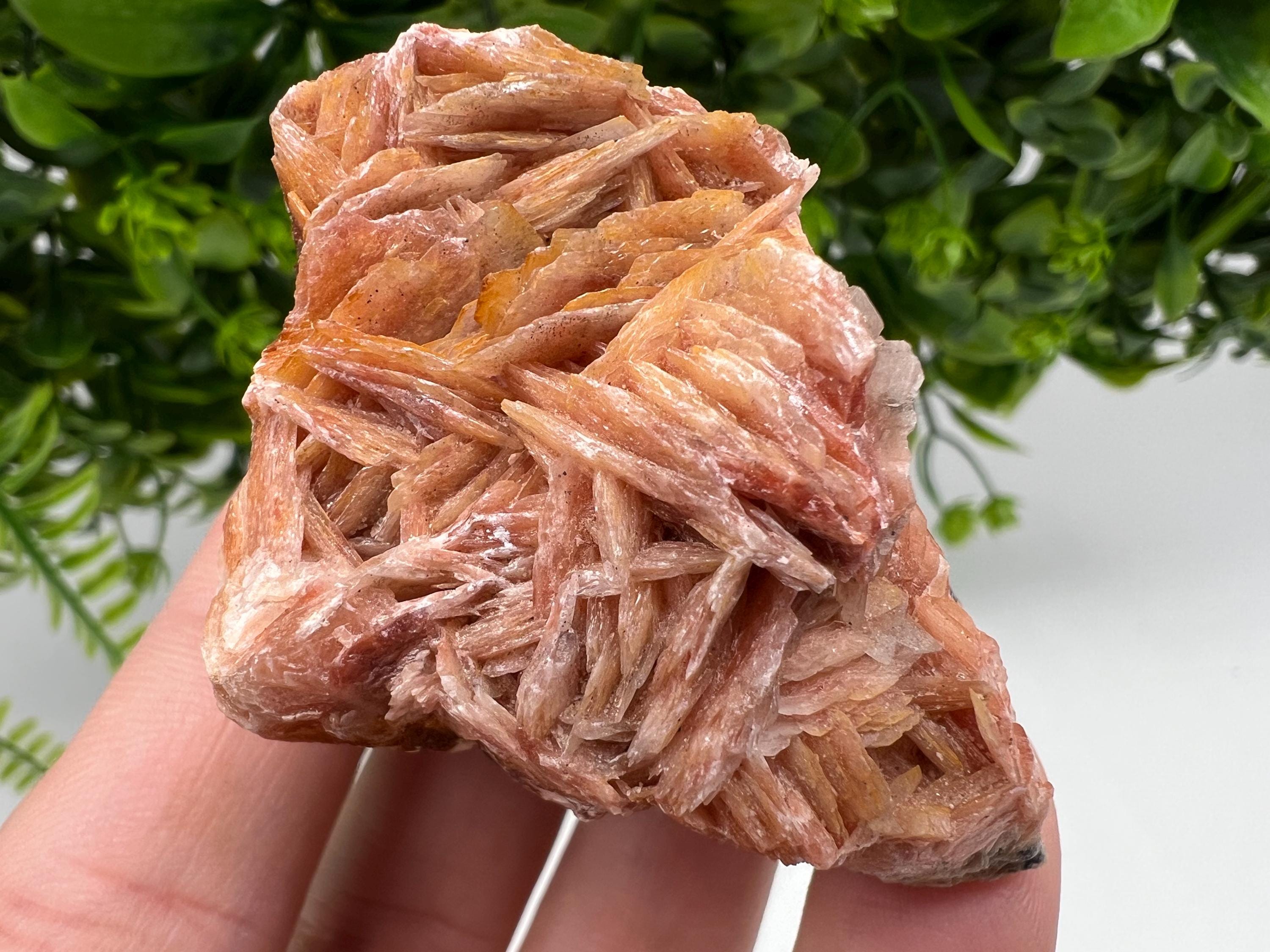 Wonderful Baryte with Cerussite on Galena from Morocco,Crystal, Mineral,Specimen,Cluster,Crystals,Barite Crystal,Cerussite Crystal,Specimen