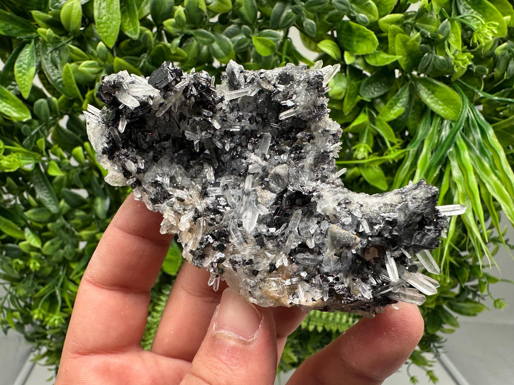 Wonderful Sphalerite Chalcopyrite on  Quartz whit Galena feom 9 th September mine,Bulgaria,natural,collection mineral specimen,gift