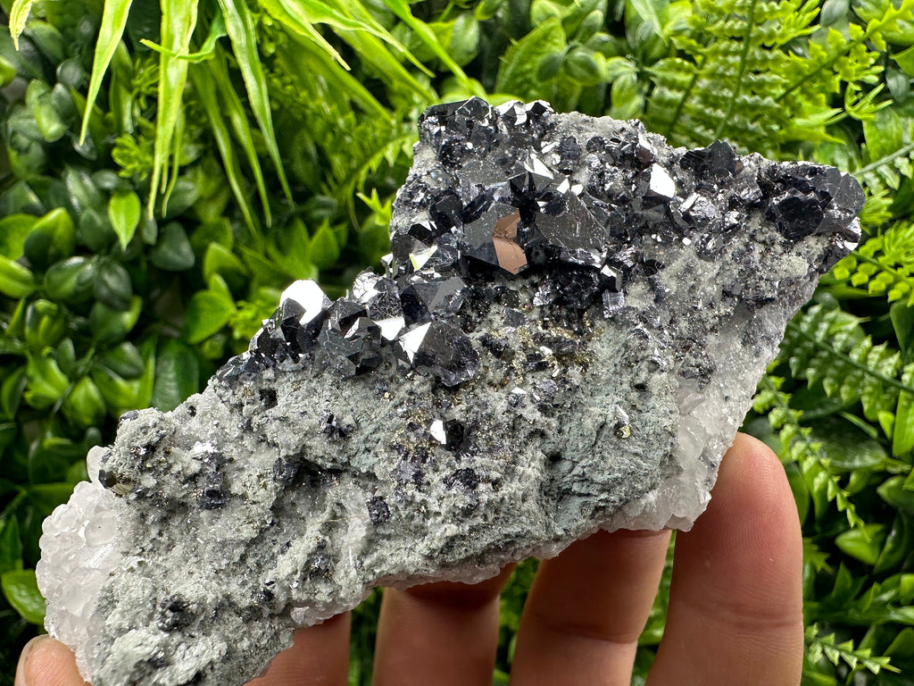 Skeletal Galena on Quartz with Pyrite - Bulgaria Crystal Decor