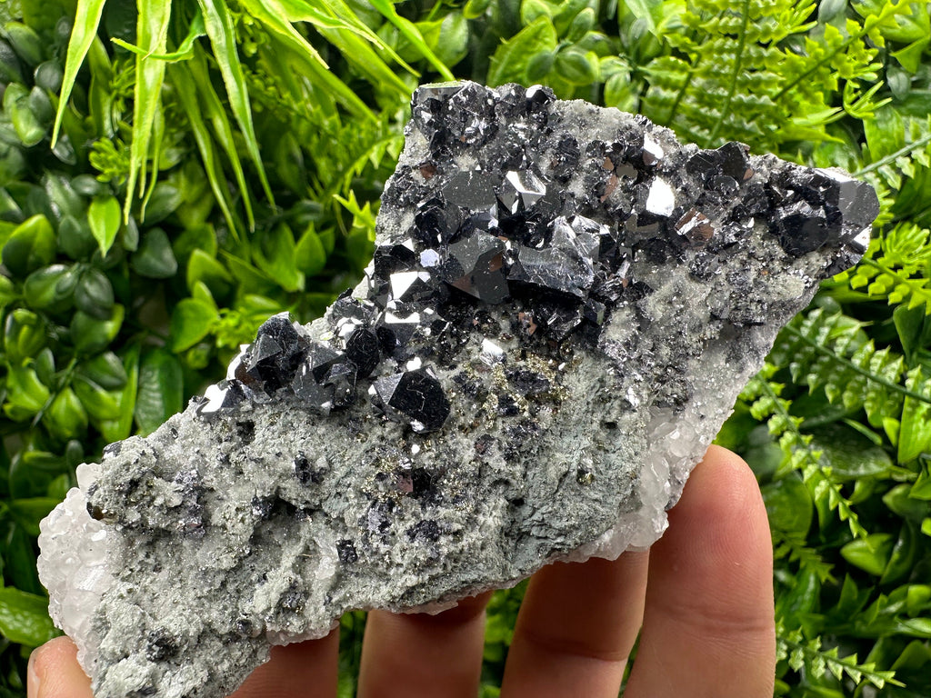 Skeletal Galena on Quartz with Pyrite - Bulgaria Crystal Decor