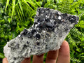 Skeletal Galena on Quartz with Pyrite - Bulgaria Crystal Decor
