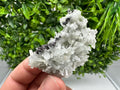 Stunning Sphalerite on  Quarzt from Borieva mine,Madan,Bulgaria,natural,collection mineral specimen,home decor crystal,gift,collection