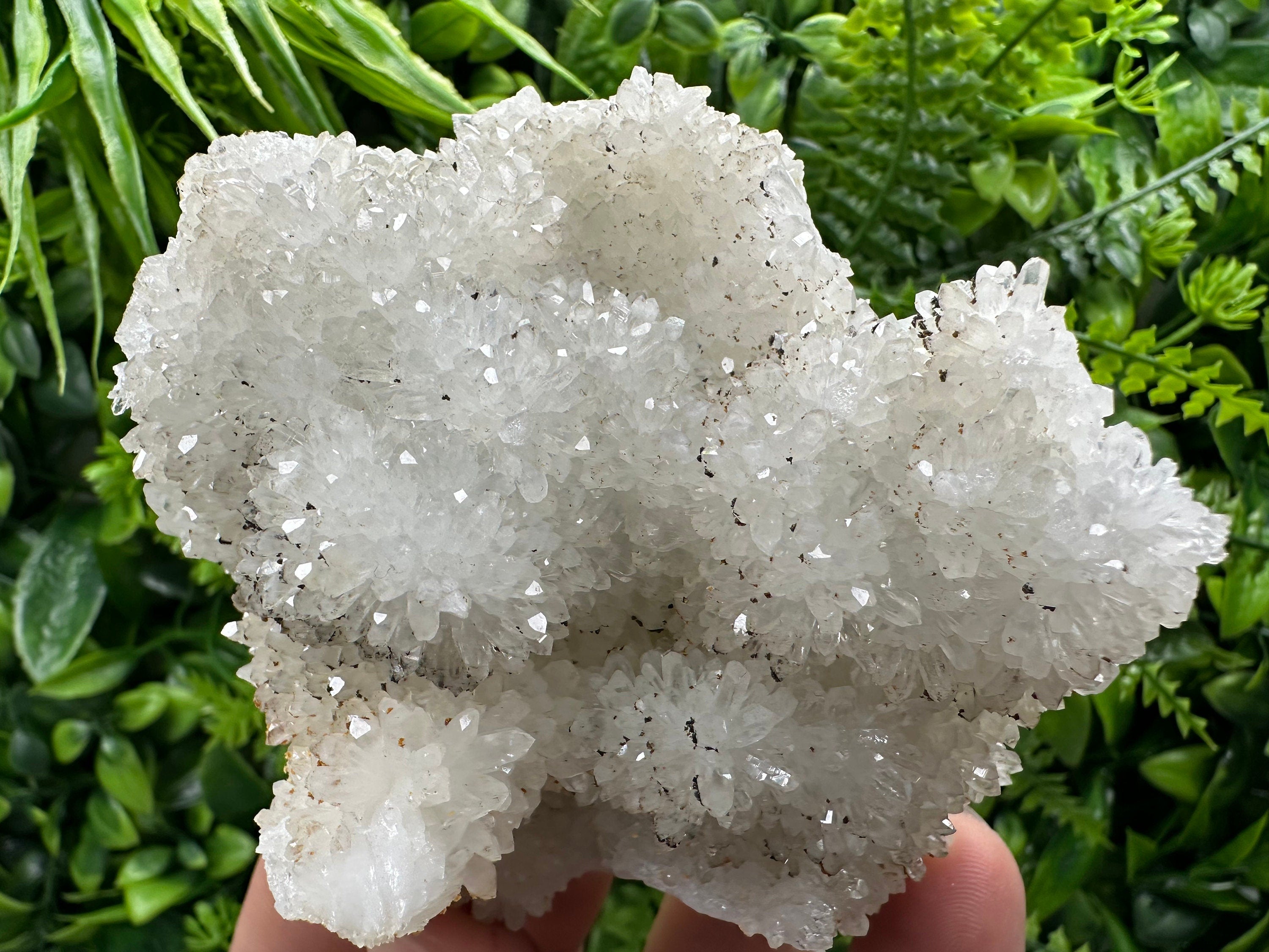 Transparent Quartz Cluster, Natural Minerals, Bulgaria