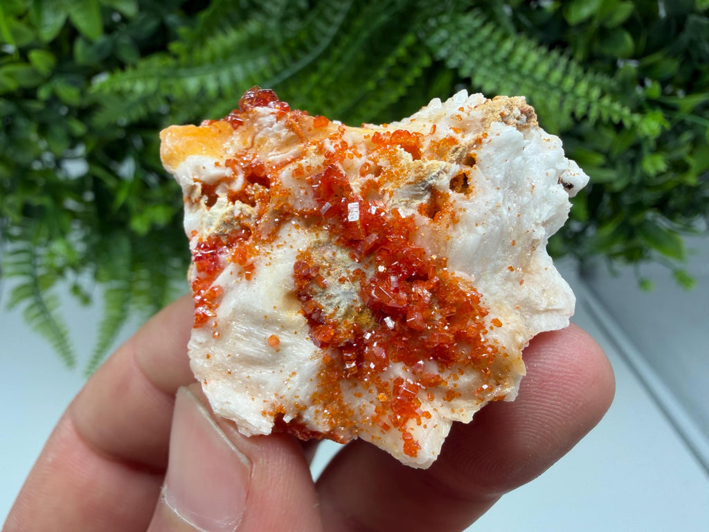 Red Vanadinite Crystal Cluster on Barite, Morocco Mineral Specimen