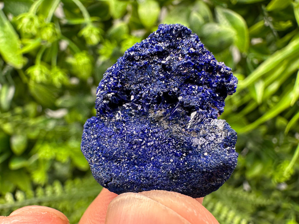 Crystallized Azurite-Kerrouchen,Morocco-Blue Azurite Specimen-High Quality Blue Azurite-Azurite Mineral Specimen, gemmy,lustrous of Azurite