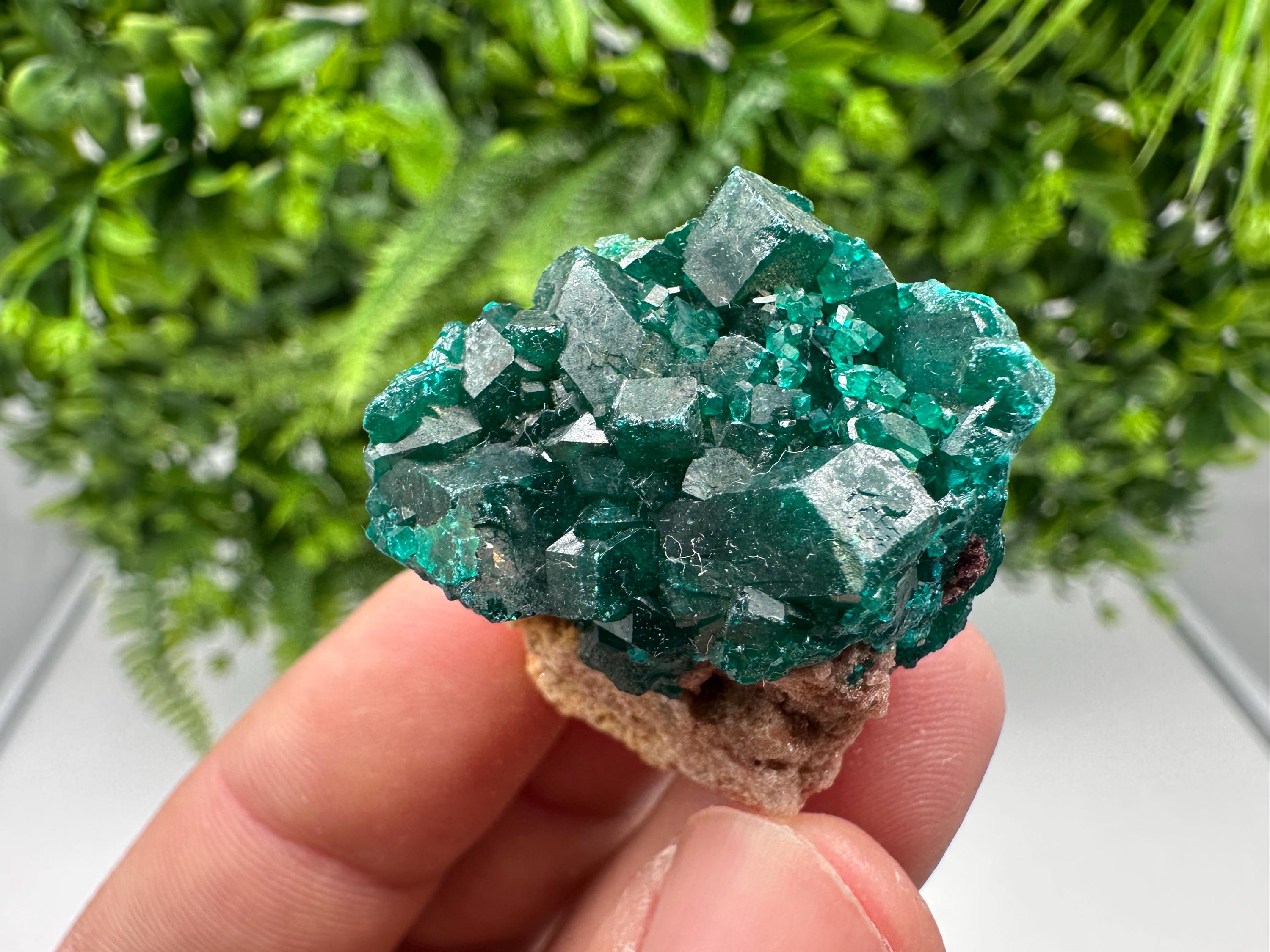 Stunning Green Dioptase from Sanda Hills,Mindouli,Pool Department,Mindouli District,Congo,green Dioptase,Dioptas Crystal,Dioptase collecting