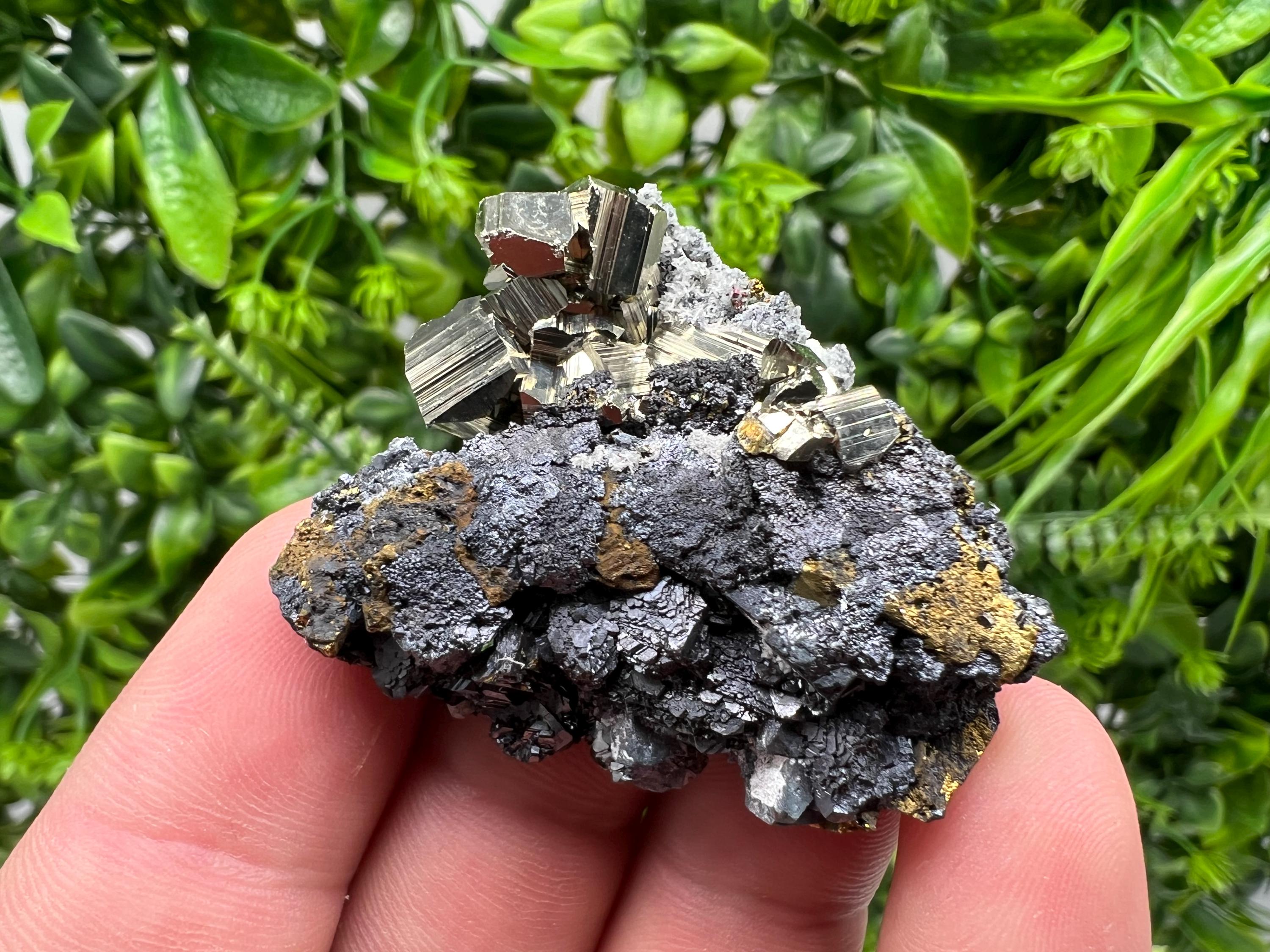 Golden Pyrite Sphalerite Cluster, Madan Bulgaria Mineral Specimen