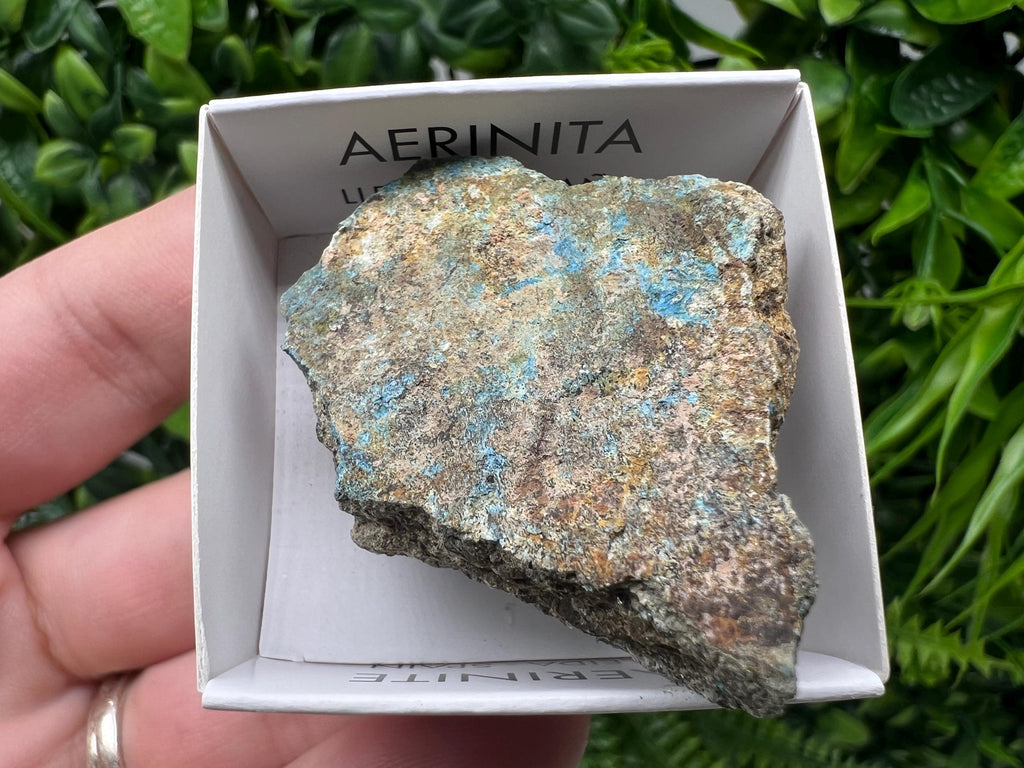 Rare Raw Aerinite Mineral Specimen: Lleida, Spain Collection Crystal