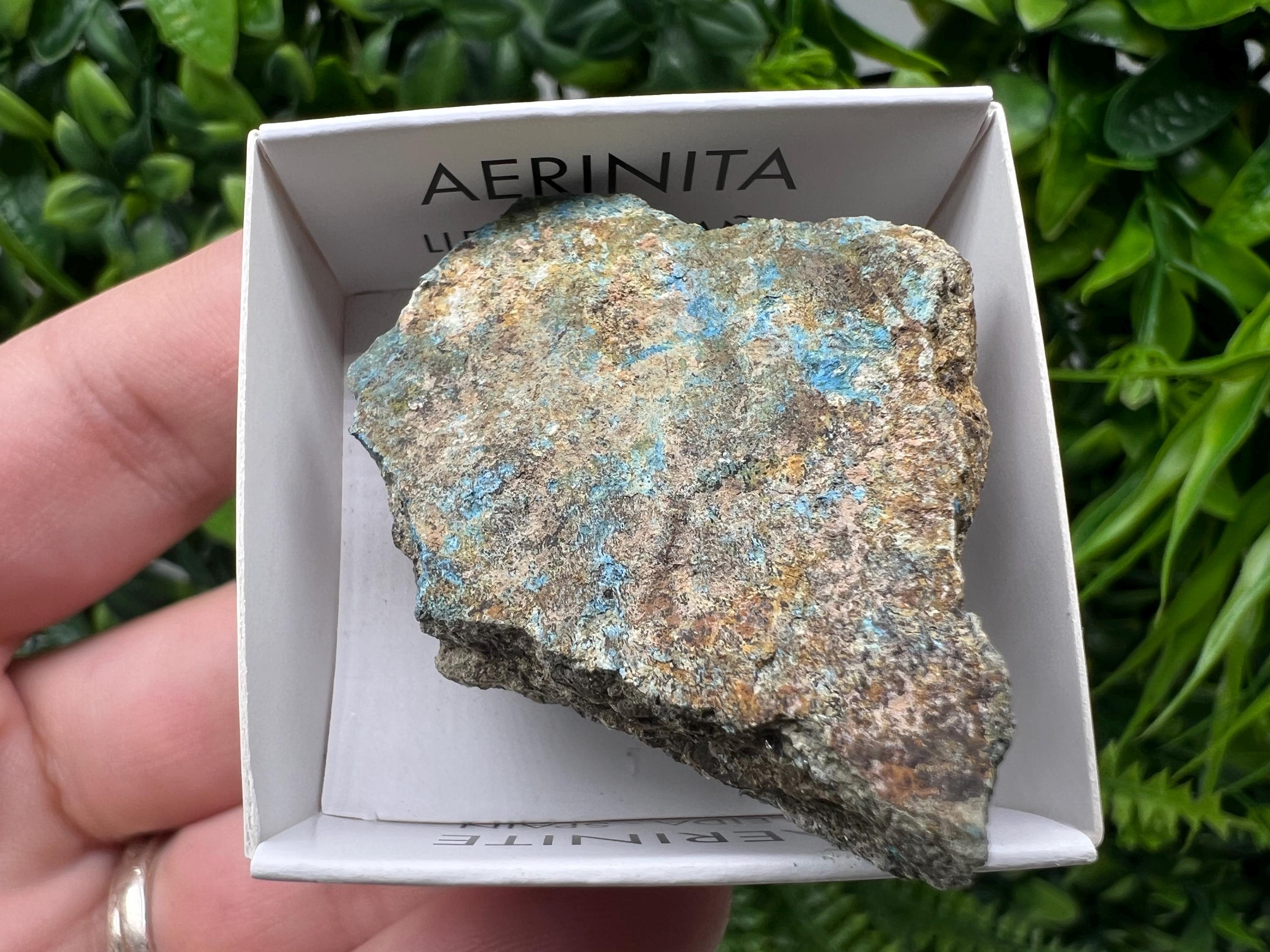 Rare Raw Aerinite Mineral Specimen: Lleida, Spain Collection Crystal