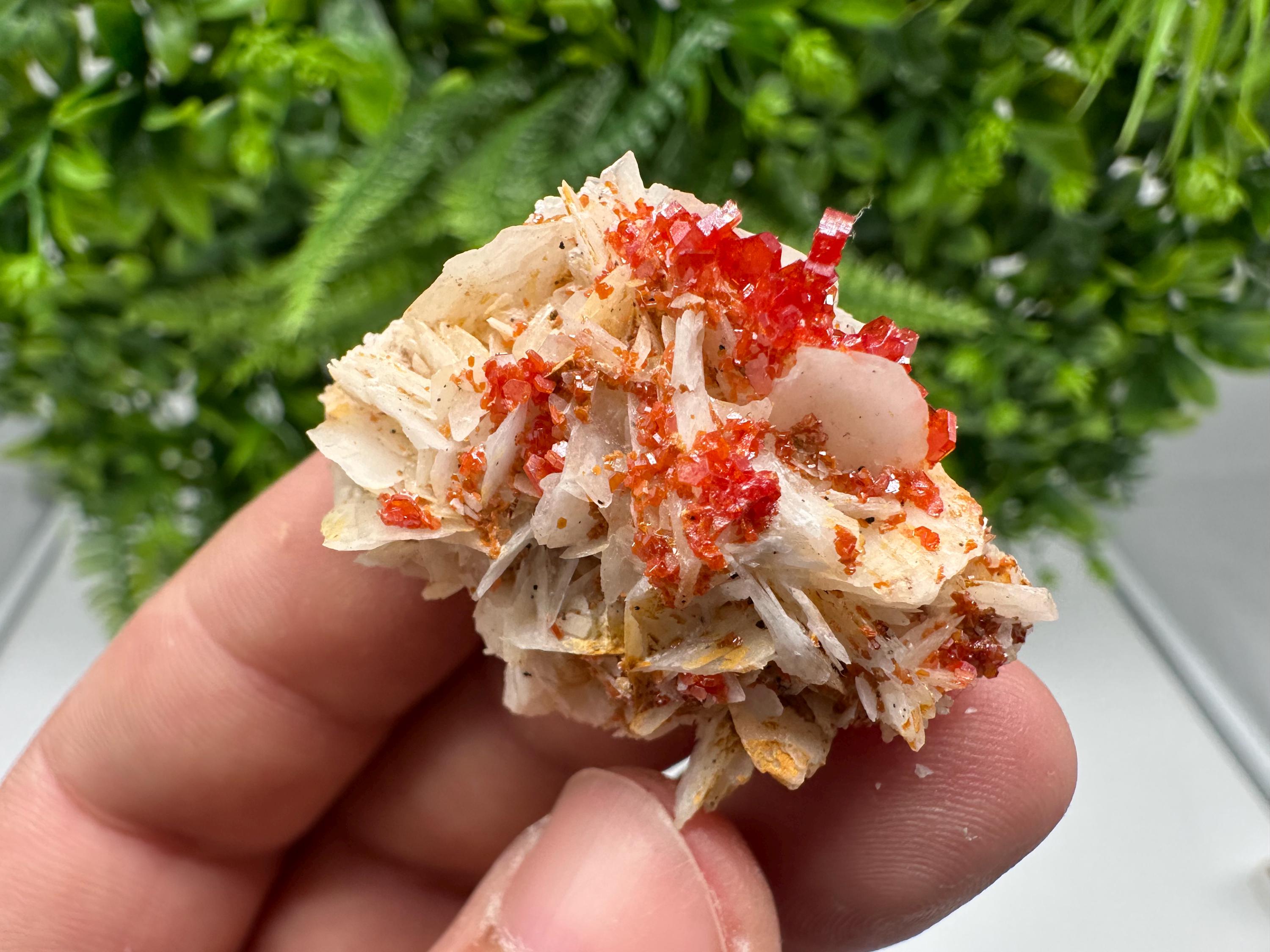 Red Vanadinite on Barite from Marocco,crystal minerals Speciment cluster Vanadinite crystal Vanadinite Geology Vanadinite cluster minerals