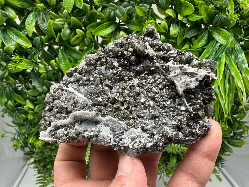 Cleiophane Sphalerite Specimen: Transparent Yellow Green Crystal