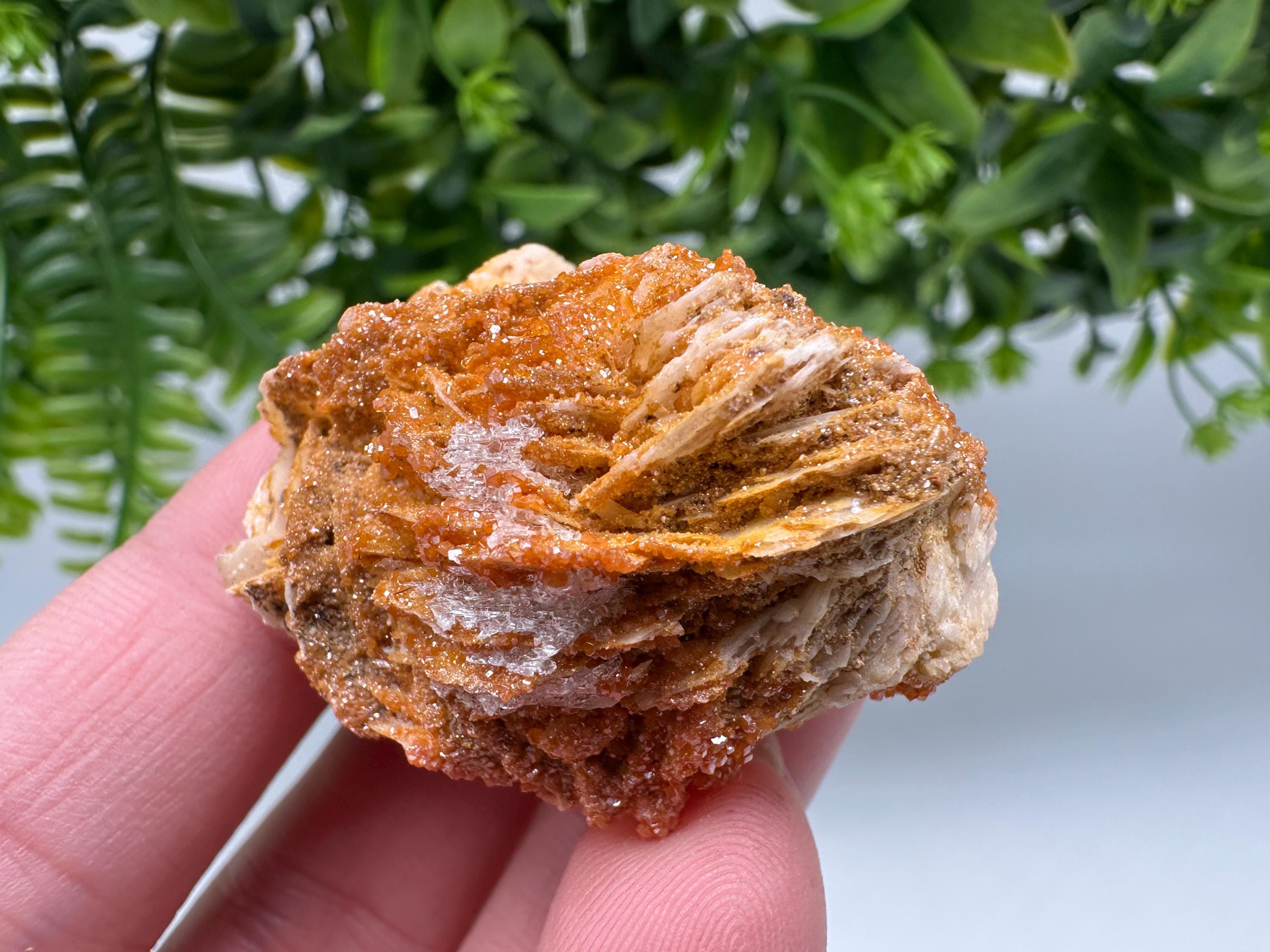 Red Vanadinite on Barite from Marocco,crystal minerals Speciment cluster Vanadinite crystal Vanadinite Geology Vanadinite cluster minerals