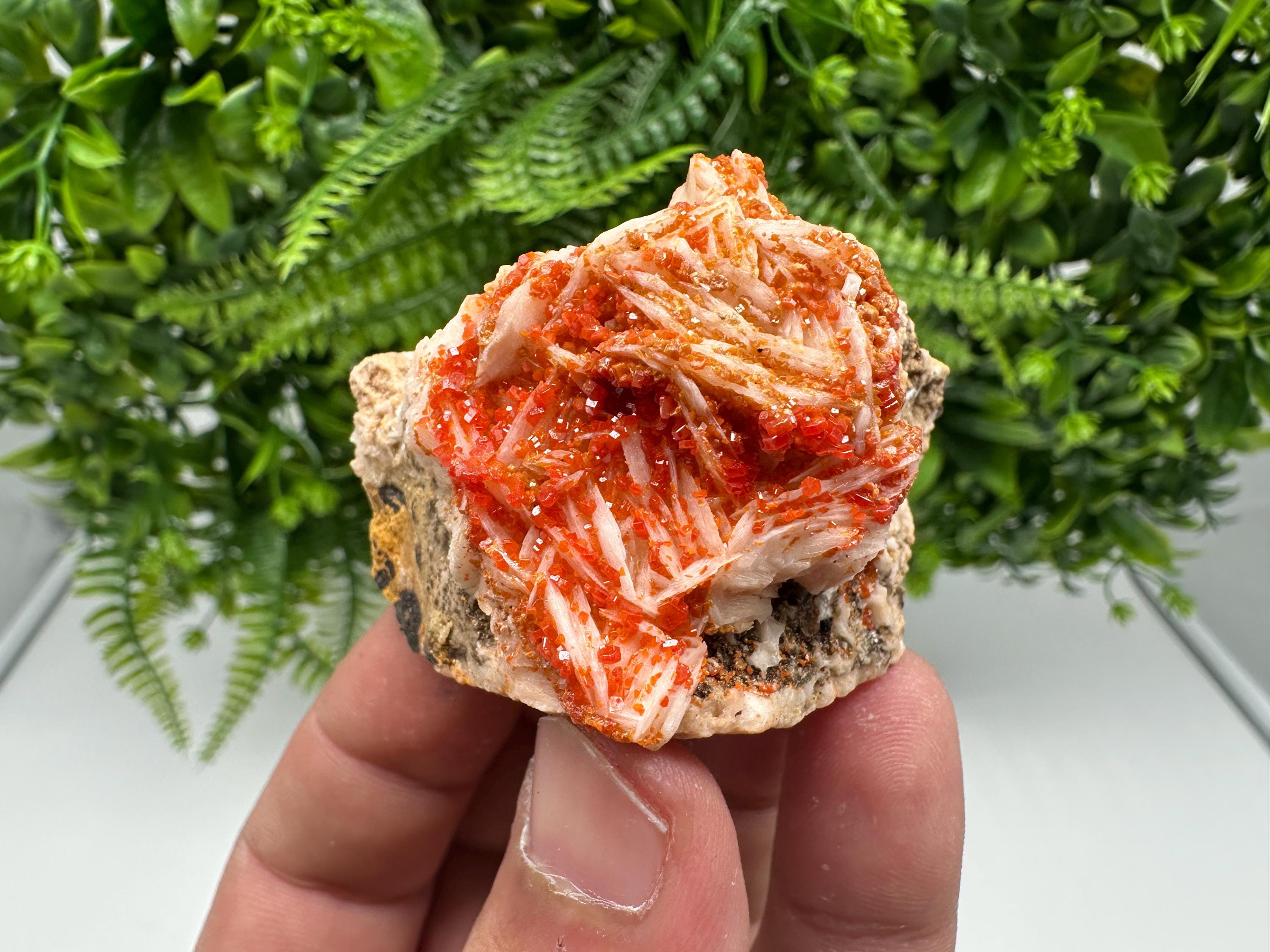 Red Vanadinite on Barite from Marocco,crystal minerals Speciment cluster Vanadinite crystal Vanadinite Geology Vanadinite cluster minerals