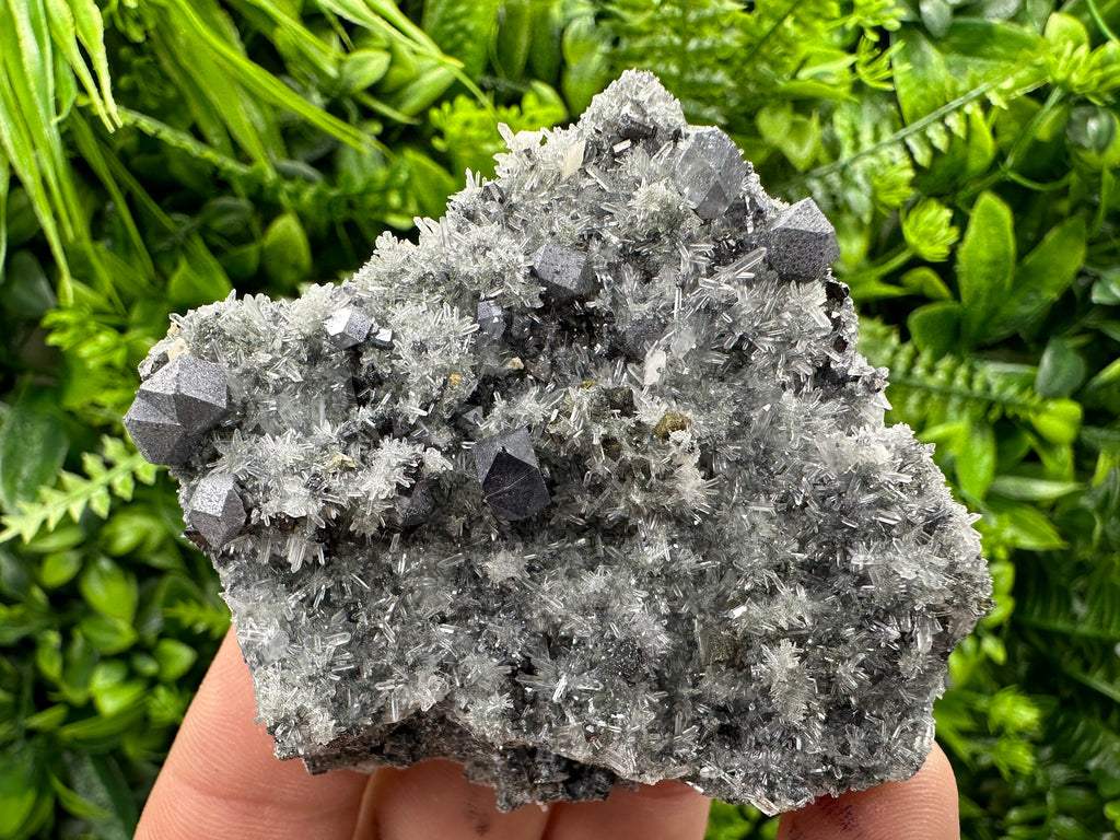 Galena on Quartz with Pyrite: Natural Crystal Home Decor Stone