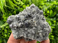 Galena on Quartz with Pyrite: Natural Crystal Home Decor Stone