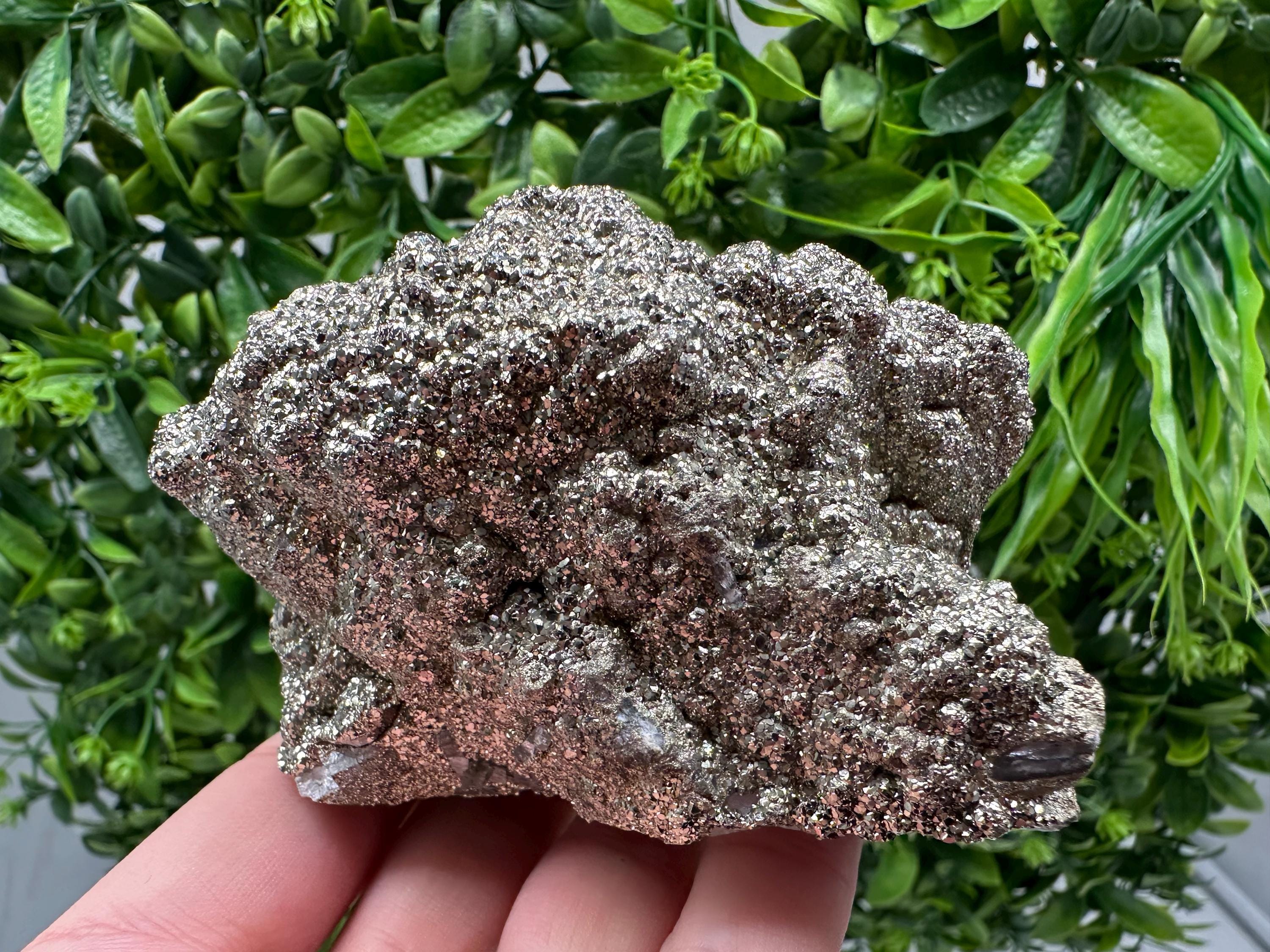 Marcasite Cluster on Chalcedony, Bulgaria Mineral Specimen
