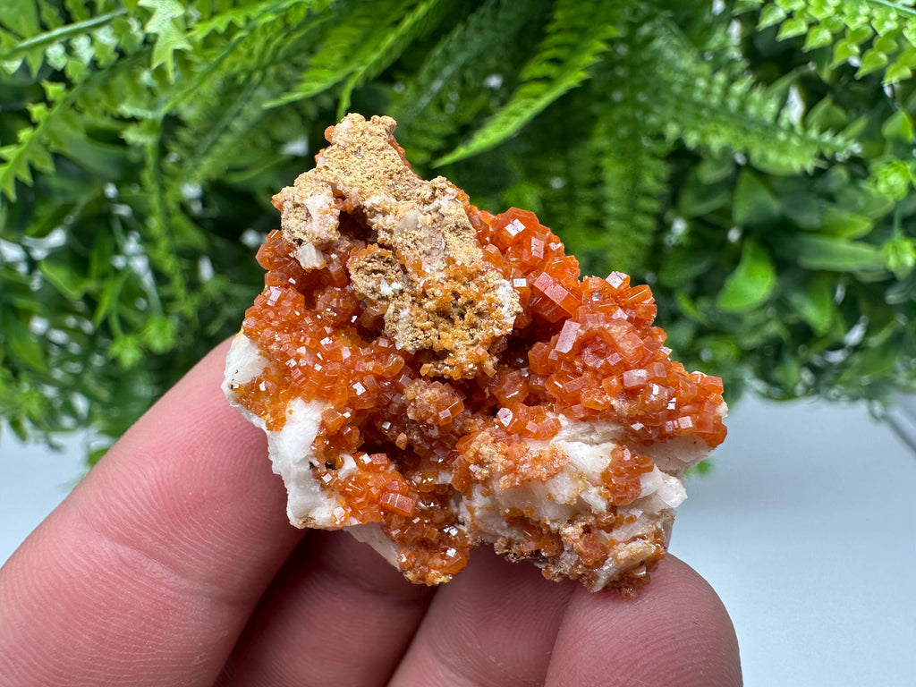 Red Vanadinite on Barite, Morocco Crystal Specimen