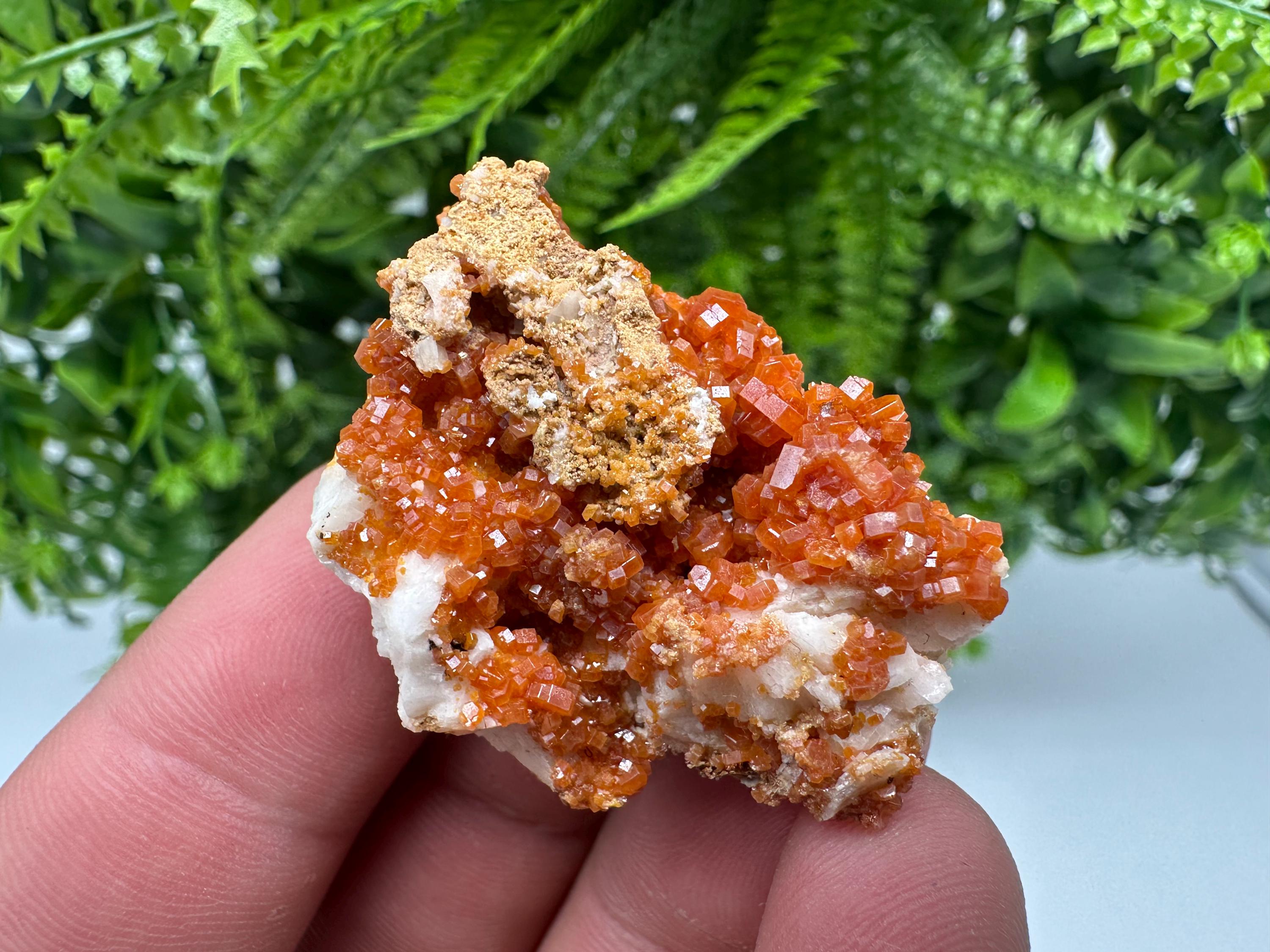 Red Vanadinite on Barite, Morocco Crystal Specimen