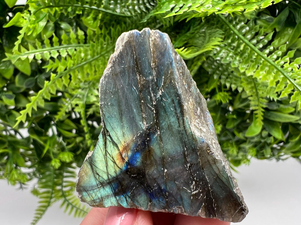 Polished Labradorite Slab: Multifire Crystal Decor - 70 Grams