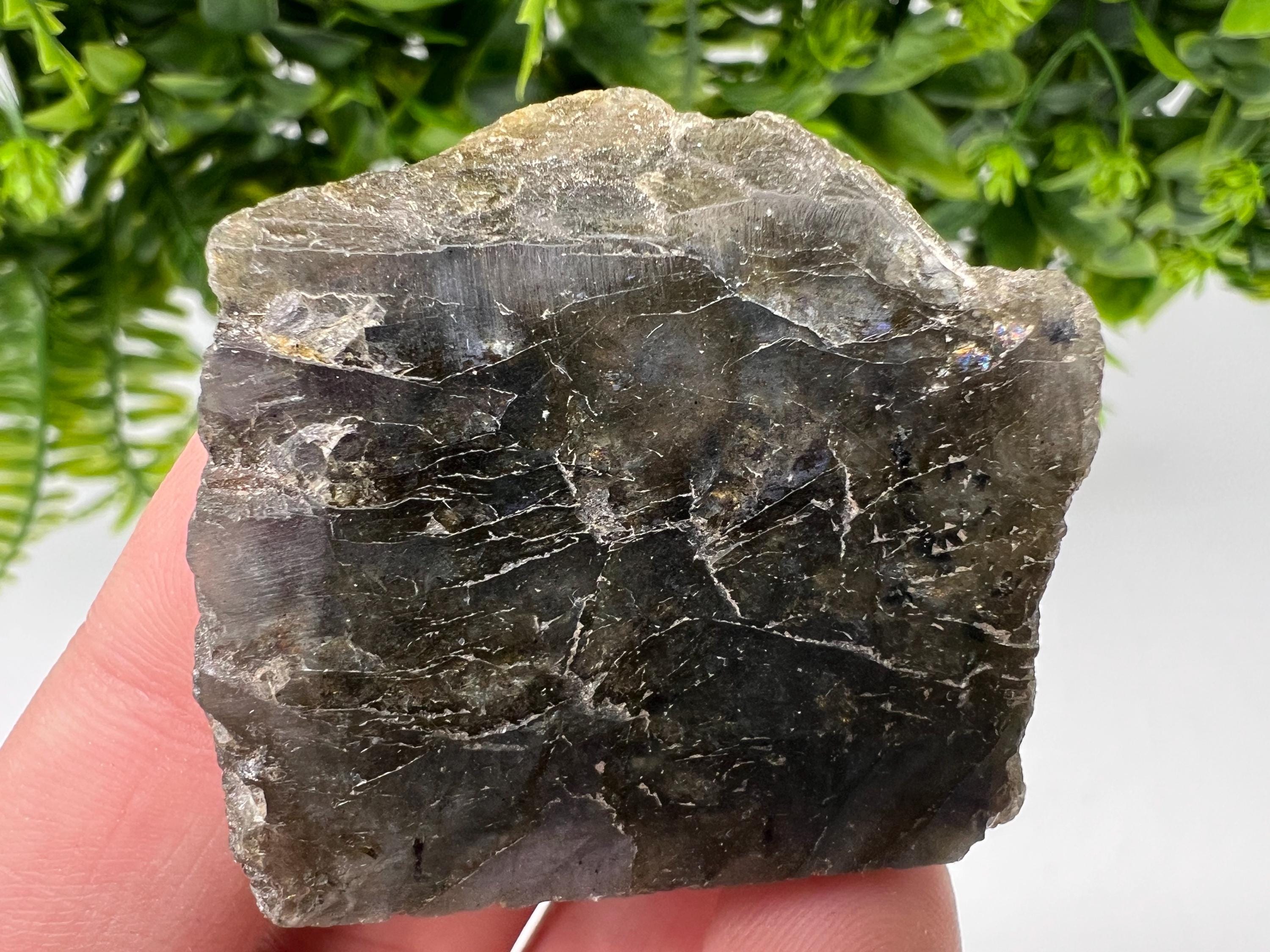 Polished Labradorite Slab: Multifire Crystal Decor - 4.5/4/1.5 CM