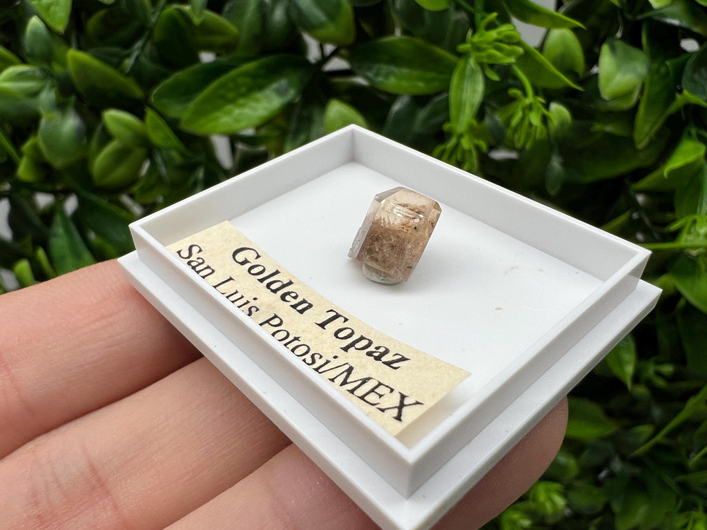 Beautiful Golden Topaz from Mexico,collection piece Crystal,Mineral,collectibles,Collectors, Natural Crystal, Minerals from Mexico,original,