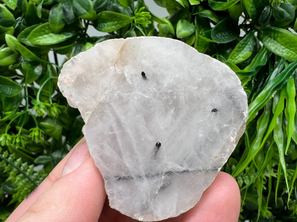 Quartz with Black Tourmaline Polished Slab: Crystal Slice