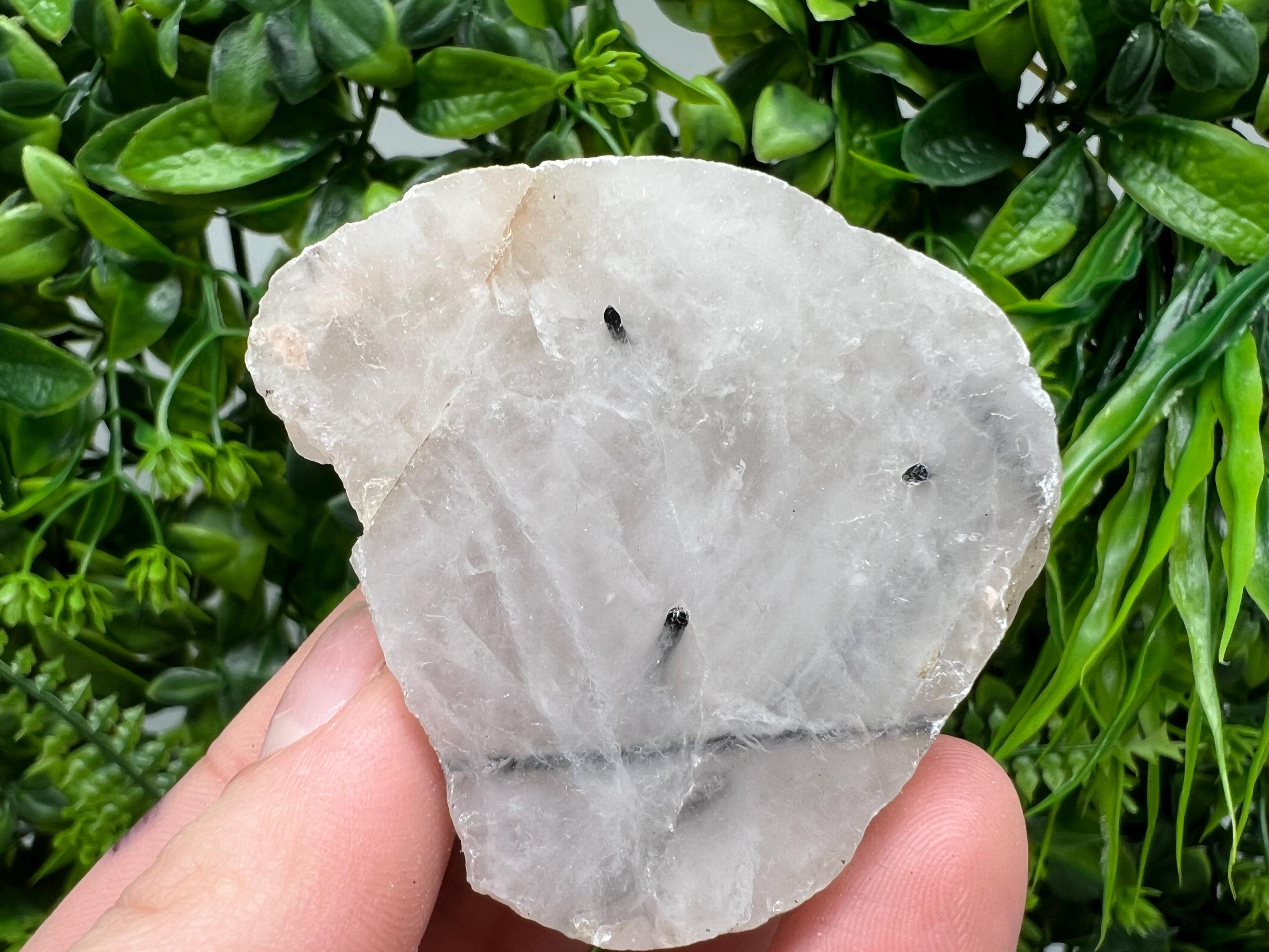 Quartz with Black Tourmaline Polished Slab: Crystal Slice