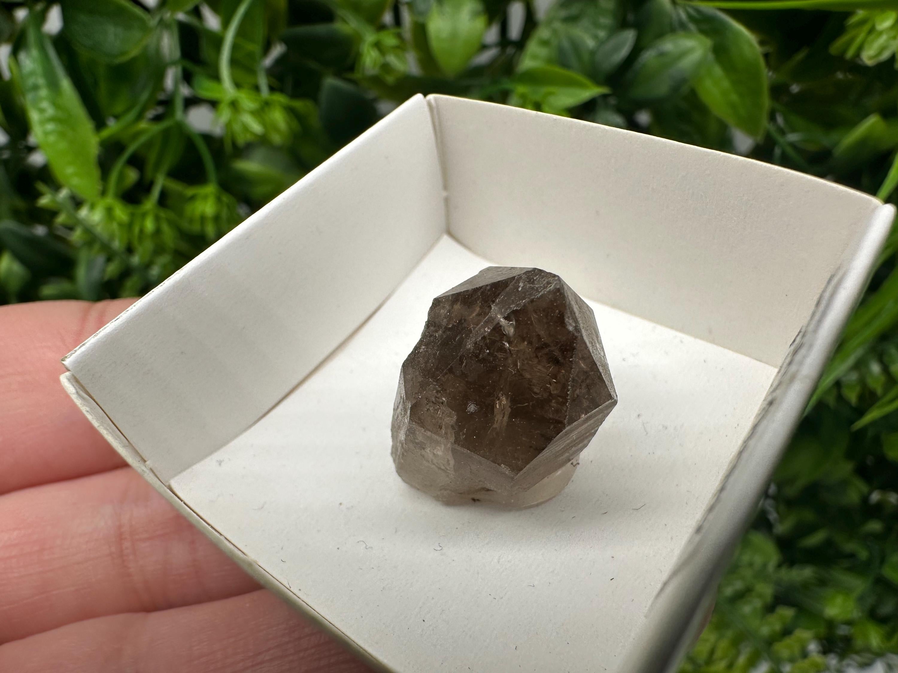 Rare Fedenstock Smoky Quartz, Swiss Mineral Specimen (20/20MM)