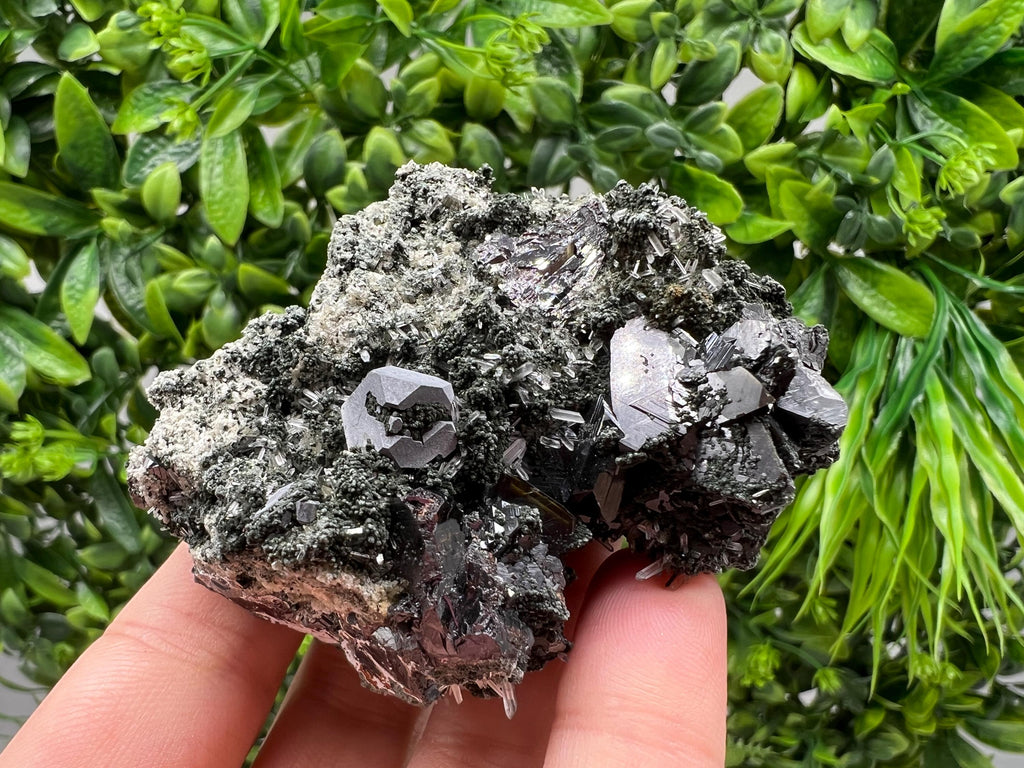 Sphalerite Galena Crystal: Chlorite Mineral Specimen, Bulgaria