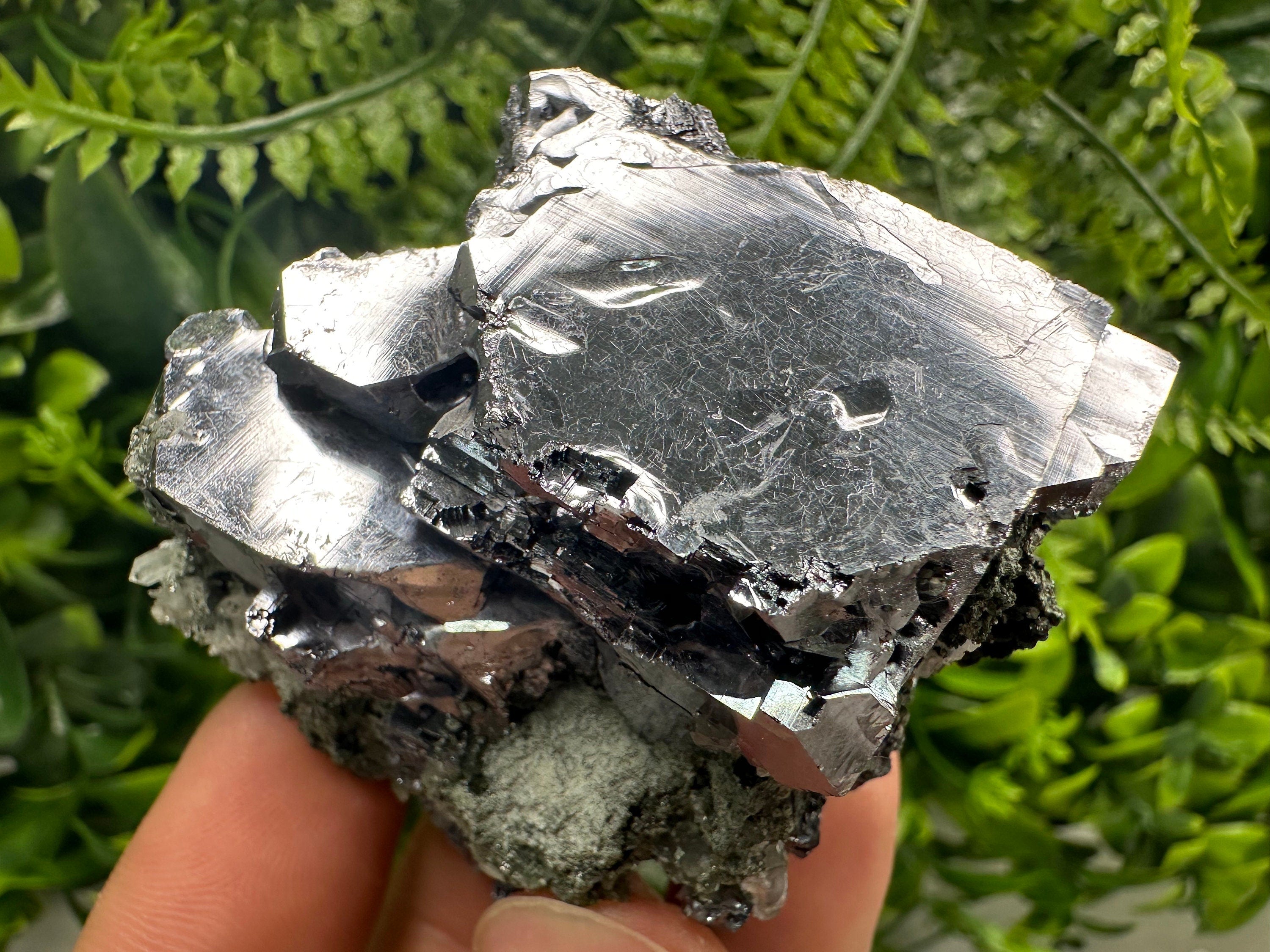 Mirror Galena on Quartz with Chlorite, Borieva Mine, Bulgaria
