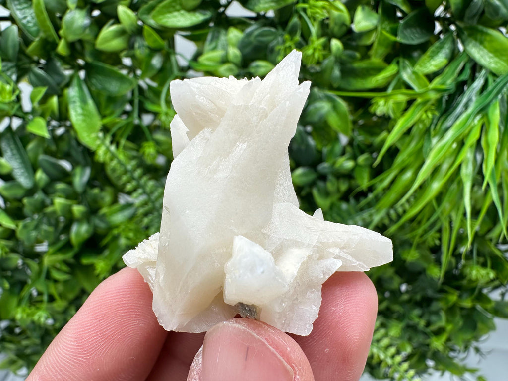 Calcite on Aragonite: Djurcovo Mine, Bulgaria Crystal