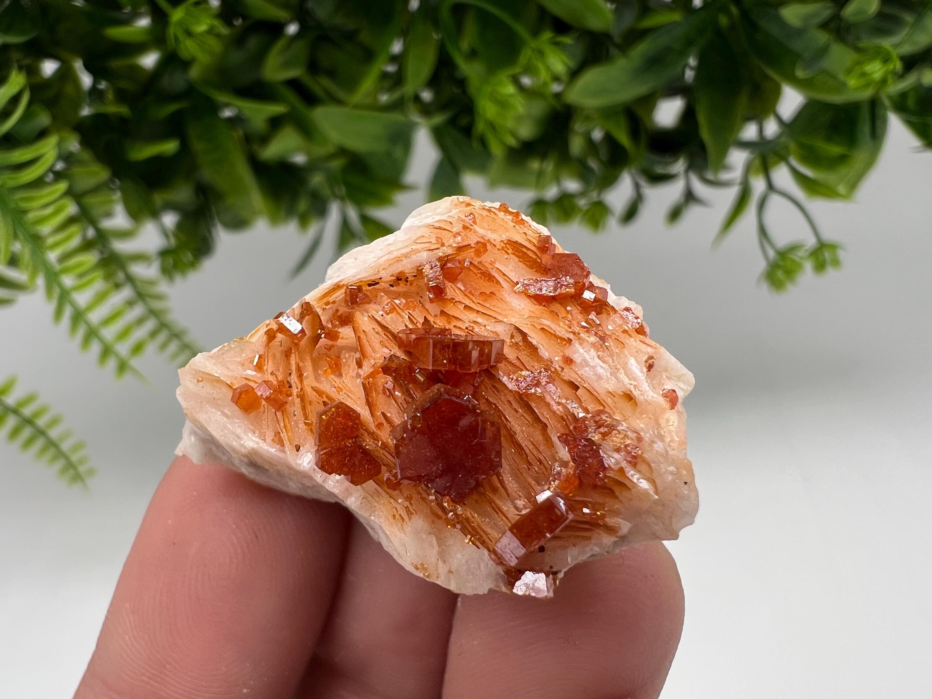 Red Vanadinite on Barite Specimen, Moroccan Crystal Mineral Cluster