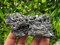 Galena Spinel Law on Sphalerite, Madan Bulgaria Mineral Specimen