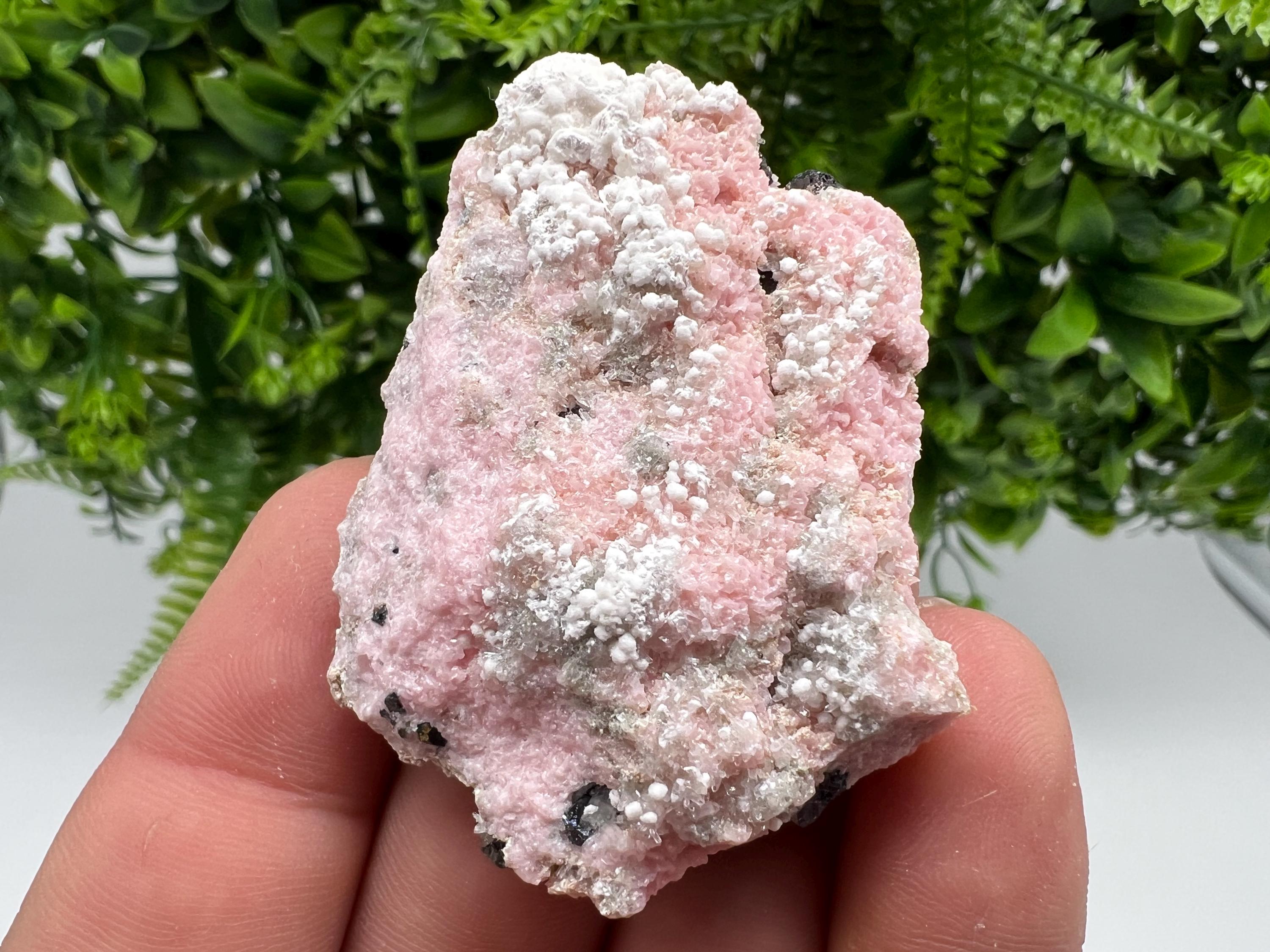 RARE Rhodochrosite with White Calcite, Starnica Mine, Bulgaria