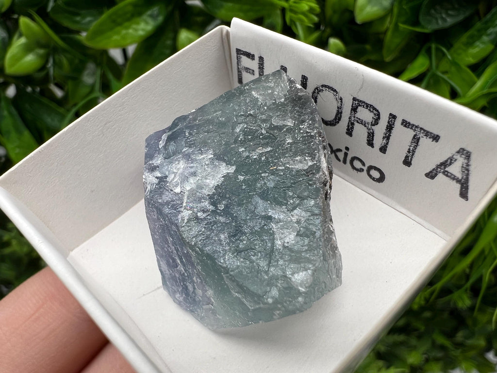 Rare Rainbow Fluorite Cube: Raw Mexican Crystal, Meditation Stone