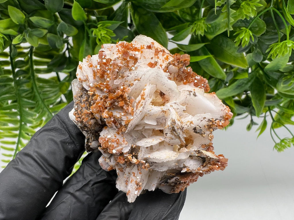 Red Vanadinite on Barite from Marocco,crystal minerals Speciment cluster Vanadinite crystal Vanadinite Geology Vanadinite cluster minerals