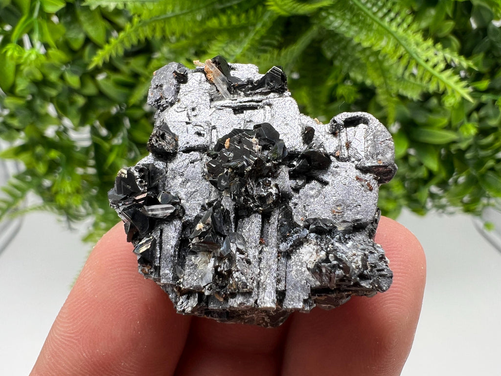 Skeletal Galena Sphalerite Mineral Specimen: Madan Bulgaria Collectible