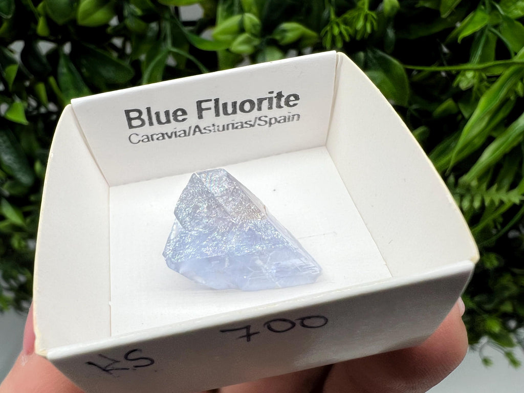 Blue Fluorite from Spain,Mineral Specimen,Blue Fluorite,Fluorite from Spain,Collection, Fluorite Collectors, Crystal Fluorite,collection