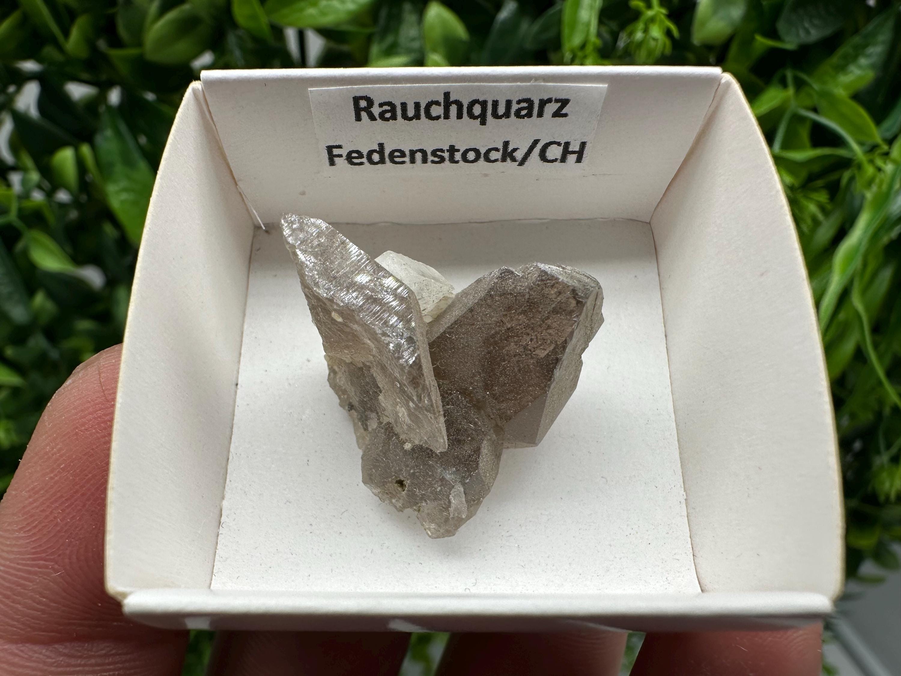 Rare Smoky Quartz from Fedenstock (mountain) Switzerland,Mineral,Specimen,Collection,Black Quartz,Mineral,Home,Smoky Quartz,Quartz point