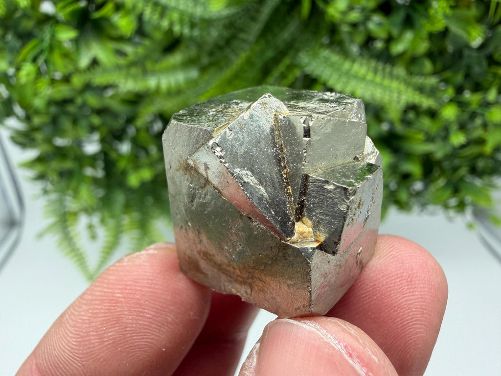 Interjoined,Pyrite,Gold,Cube PYRITE, Navajun, La Rioja, SPAIN,natural Pyrite shiny Pyrite home decor stone gift minerals,collectibls