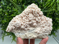Pink Manganocalcite Mineral Specimen: Krushev Dol Mine, Bulgaria