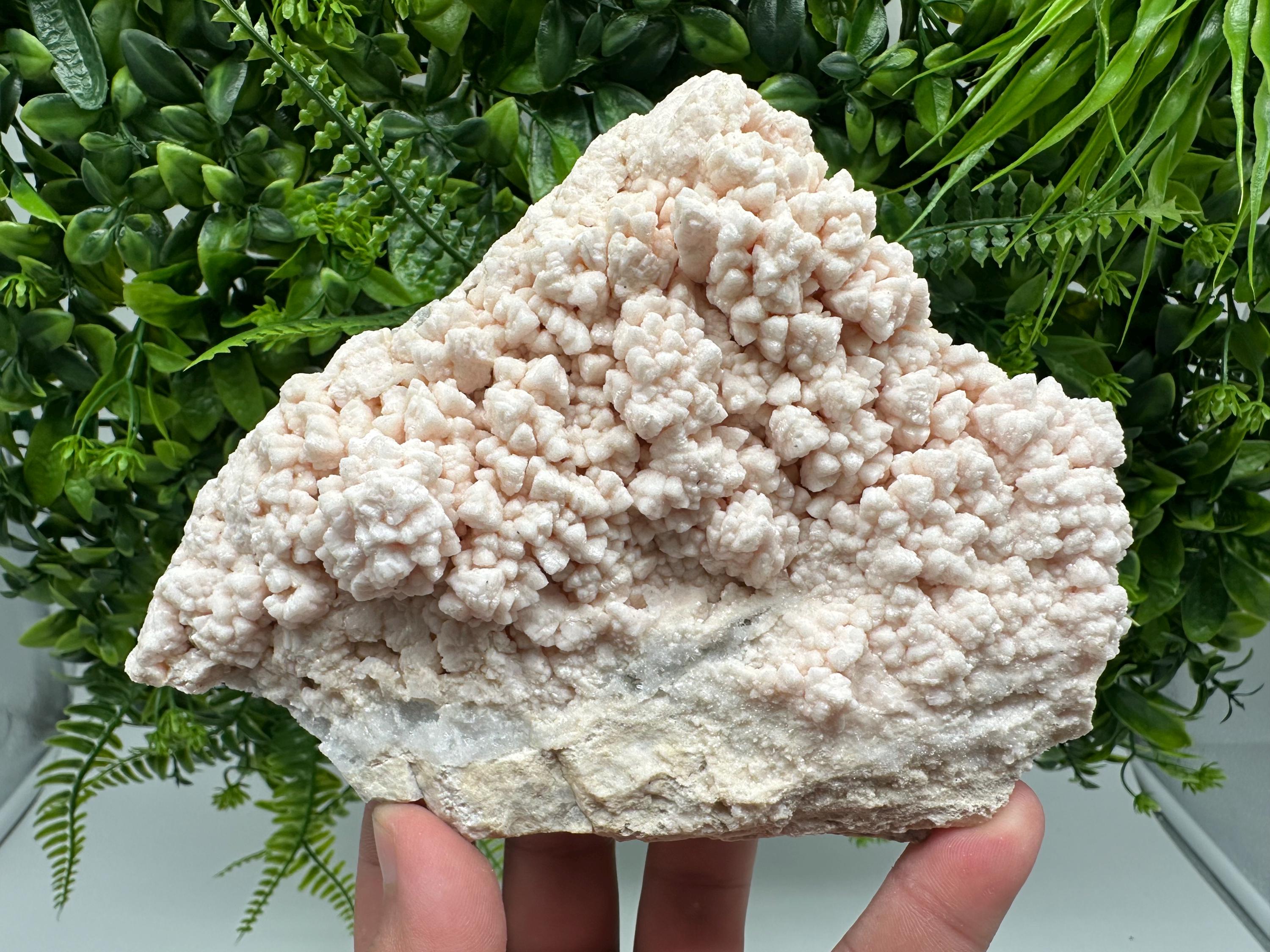 Pink Manganocalcite Mineral Specimen: Krushev Dol Mine, Bulgaria