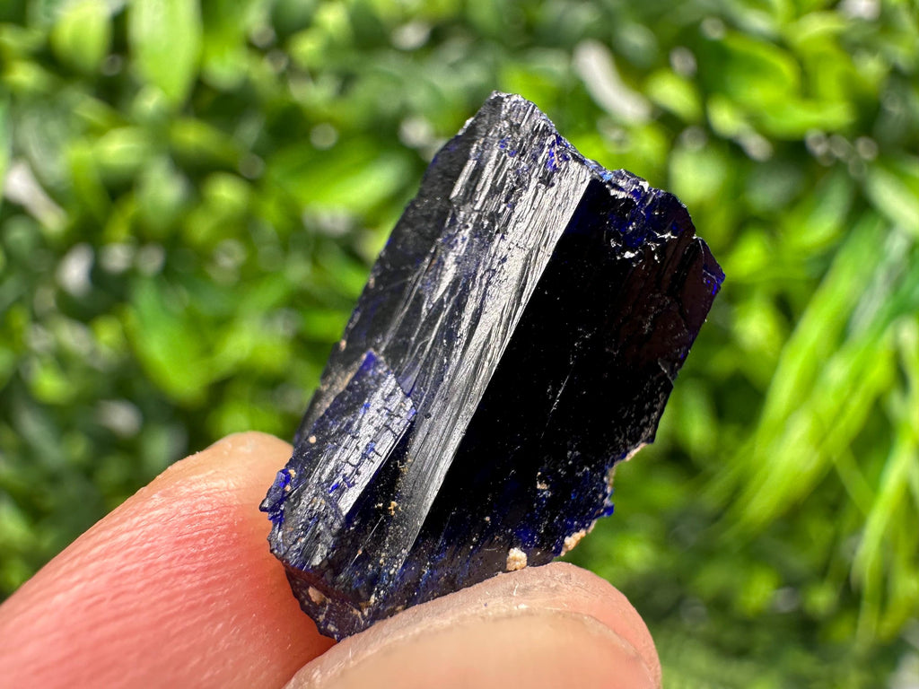 Crystallized Azurite-Kerrouchen,Morocco-Blue Azurite Specimen-High Quality Blue Azurite-Azurite Mineral Specimen, gemmy,lustrous of Azurite