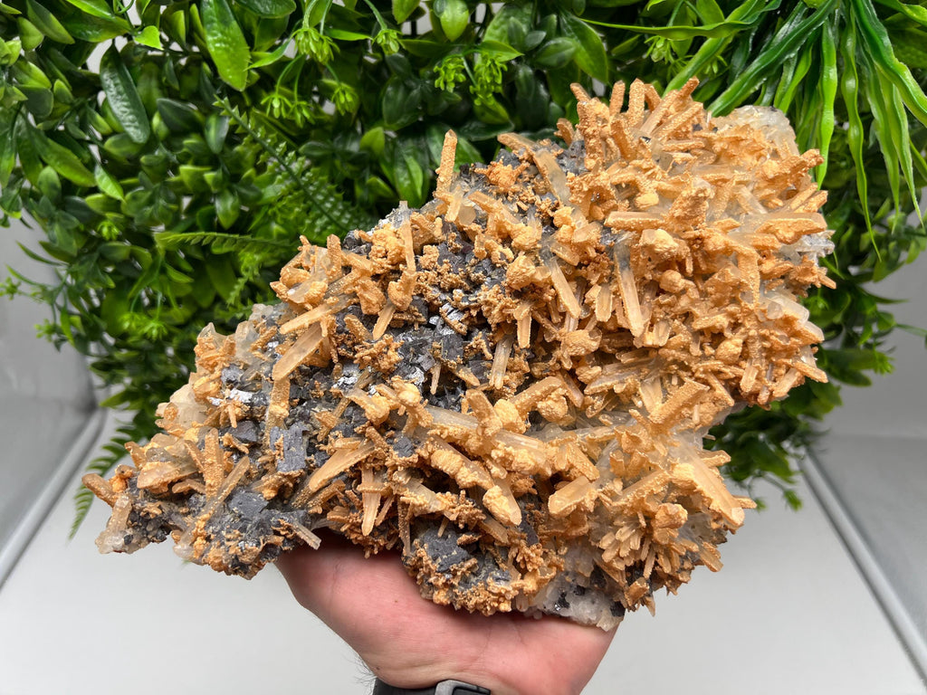 Collection Skeleral GALENA on Transparent Quartz whit Brown Calcite,natural,collectibles mineral specimen,home decor stone,gift,collection