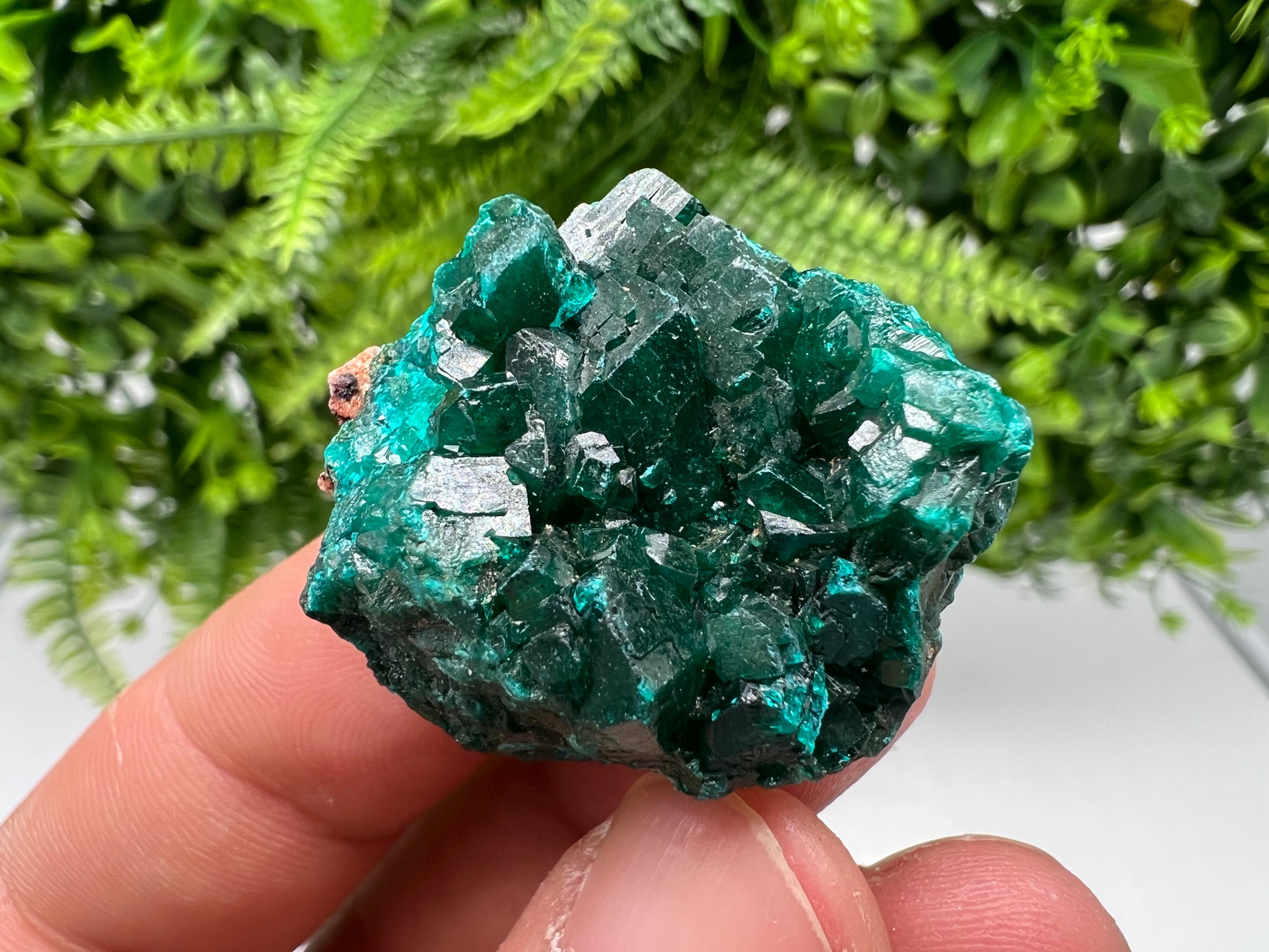 Stunning Green Dioptase from Sanda Hills,Mindouli,Pool Department,Mindouli District,Congo,green Dioptase,Dioptas Crystal,Dioptase collecting