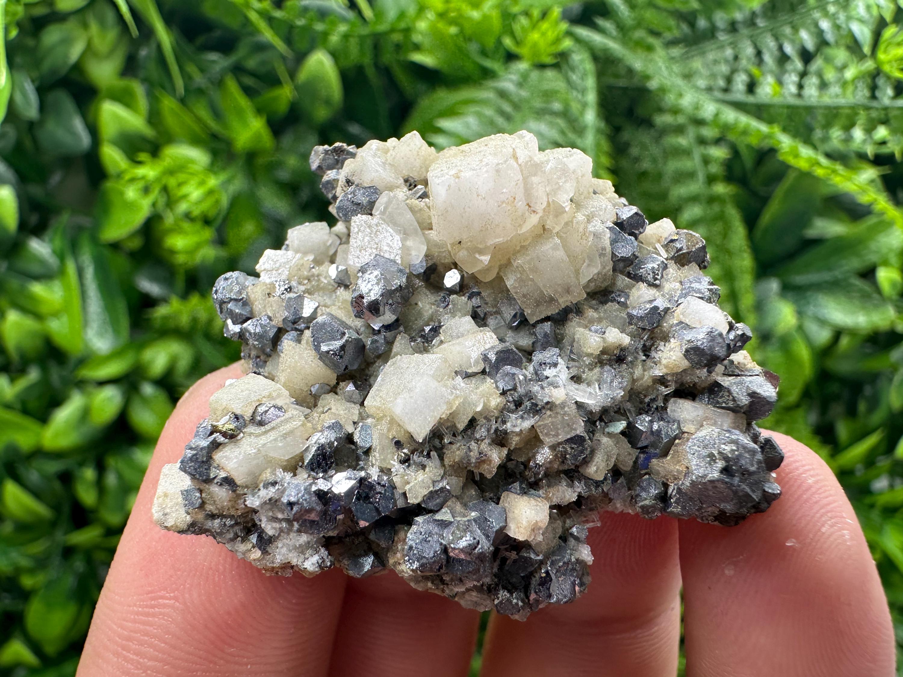 Galena Chalcopyrite on Calcite, Borieva Mine, Bulgaria