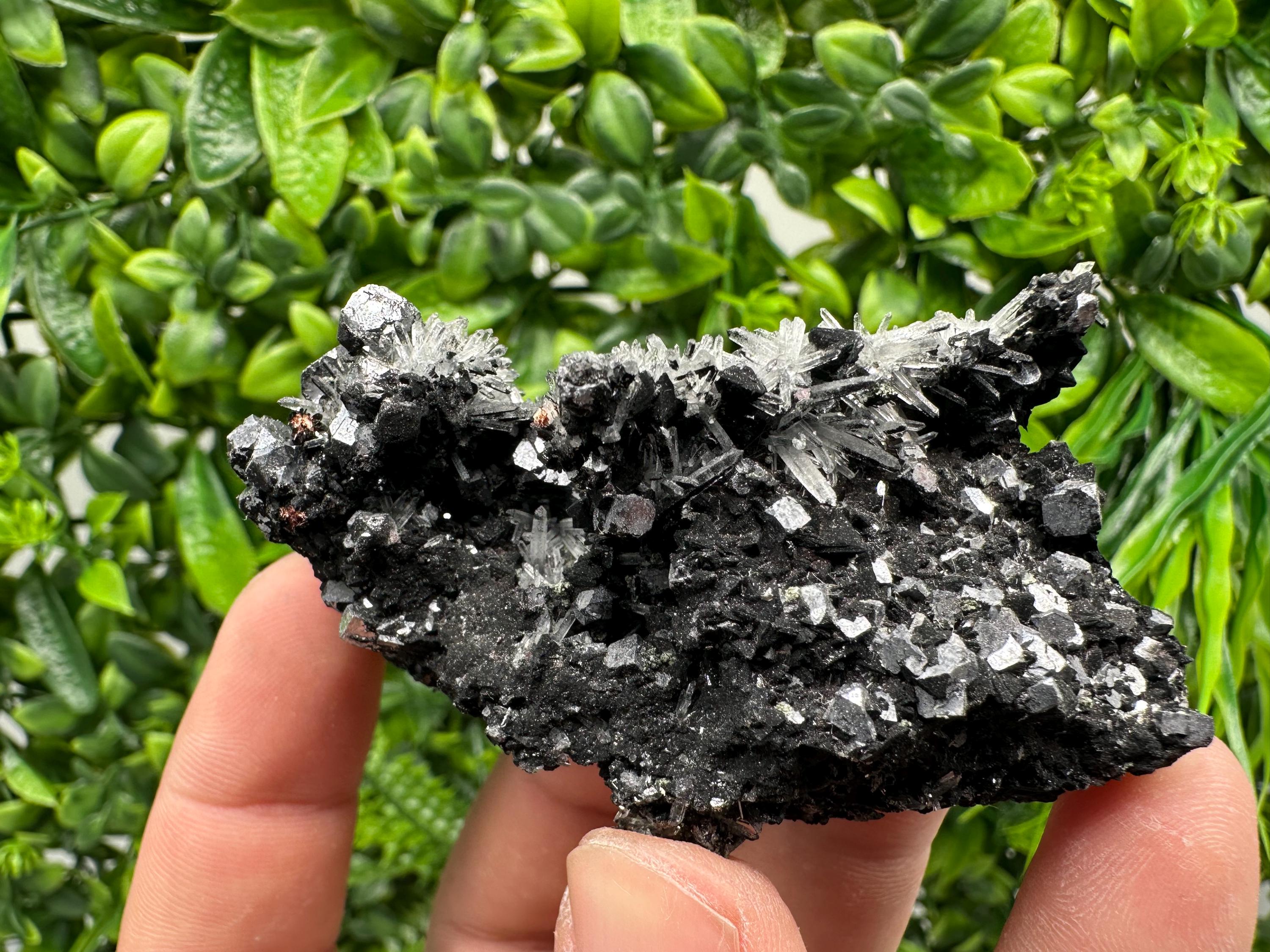 Galena, Quartz, Calcite on Chlorite, Borieva Mine Mineral Specimen