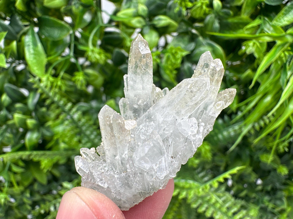 Quartz Rhodochrosite Cluster, Djurcovo Mine Mineral Specimen