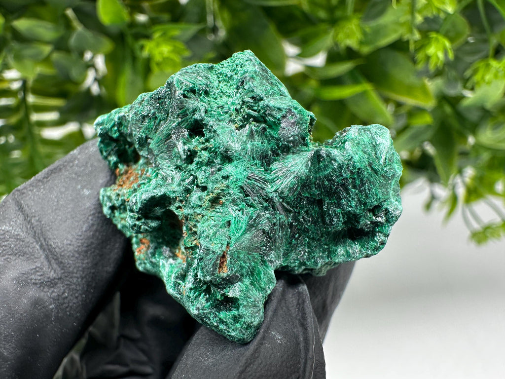 Malachite Crystal from Congo,Minerals,Crystals from Congo,Green Malachite, Malachite,Natural Malachite,Malachite Stone,Chakra, Specimens