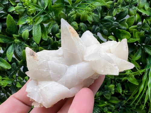 Calcite on Green Quartz: Laki Bulgaria Healing Crystal